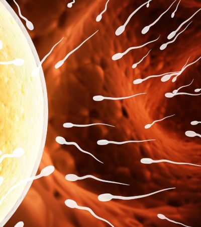sperma encer apakah bisa hamil