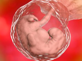 Sperma Tidak Masuk Tapi Bisa Hamil Ini Penjelasan Ilmiahnya