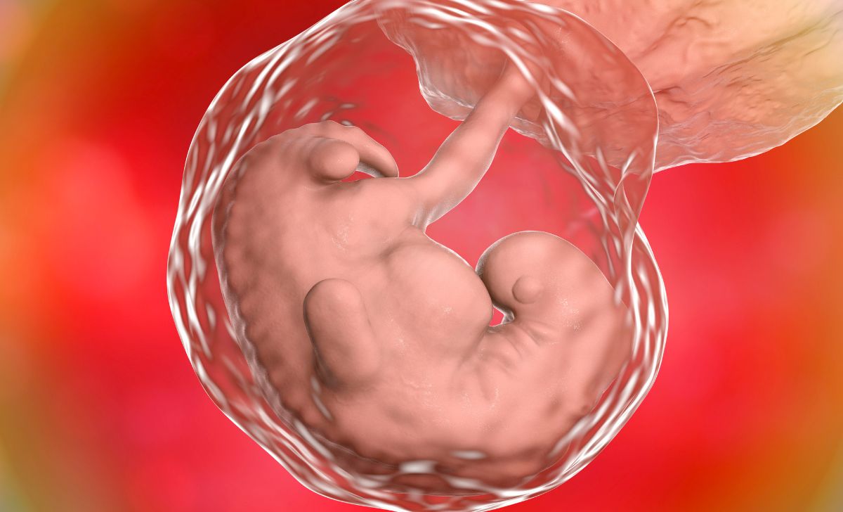 Sperma Tidak Masuk Tapi Bisa Hamil Ini Penjelasan Ilmiahnya