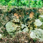 01ka0mcsvxbvwvtmjjqs17346z