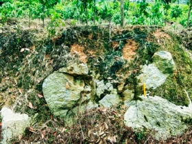 01ka0mcsvxbvwvtmjjqs17346z Duasatupluscom 01ka0mcsvxbvwvtmjjqs17346z