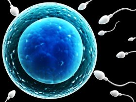 CiriCiri Sperma Masuk Rahim Duasatupluscom Ciri Ciri Sperma Masuk Rahim